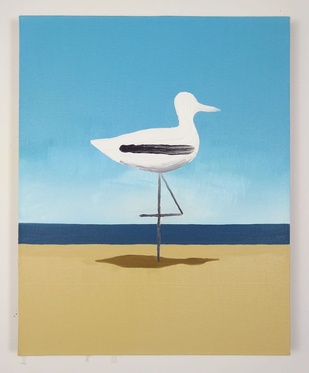 Artwork Title: Decoy