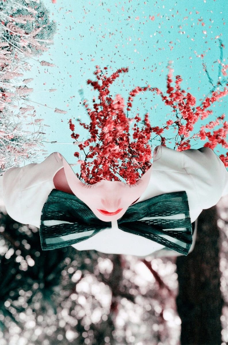 Artwork Title: Cut Up