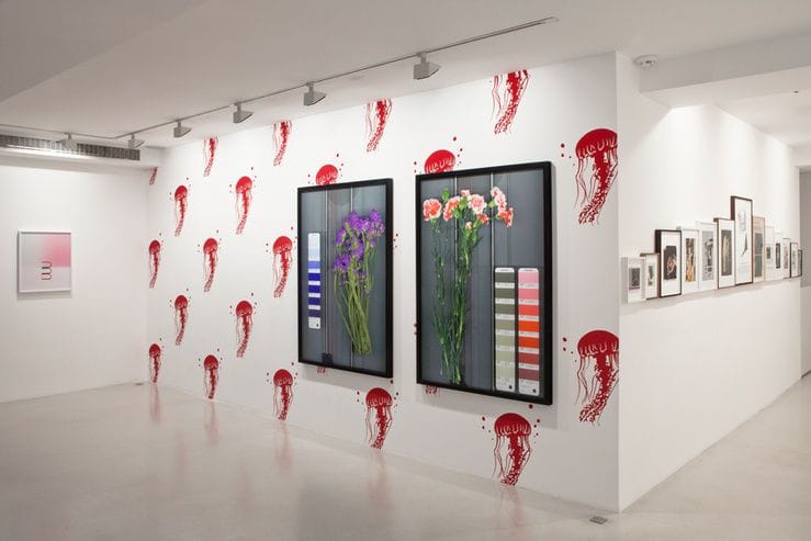Artwork Title: Installation View, Pantones