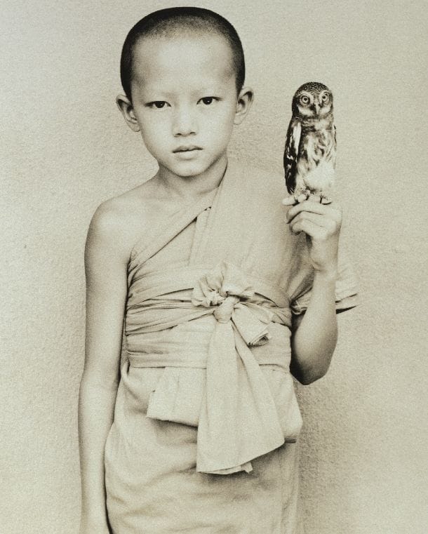 Artwork Title: Little Novice