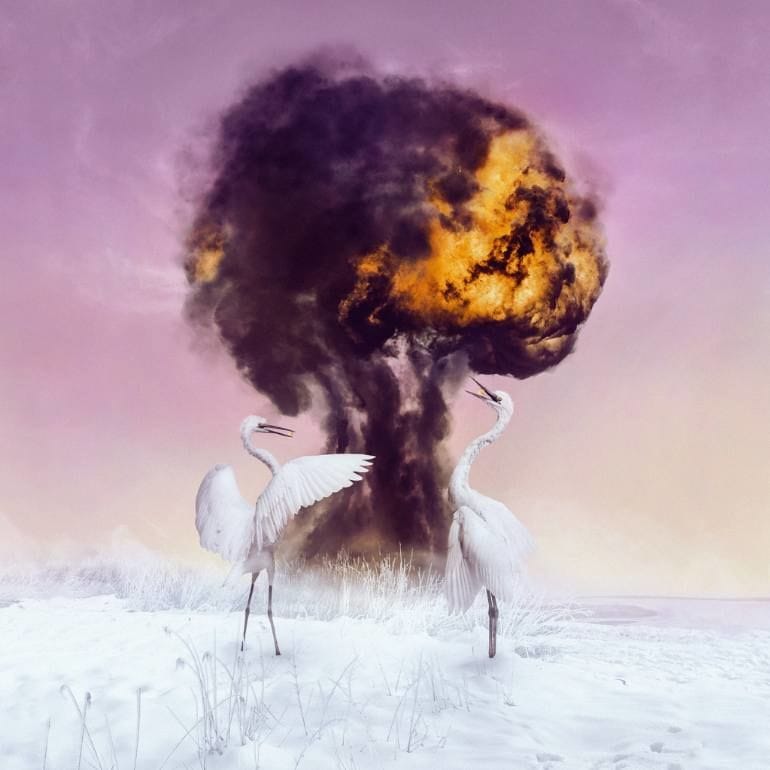 Artwork Title: Don't
