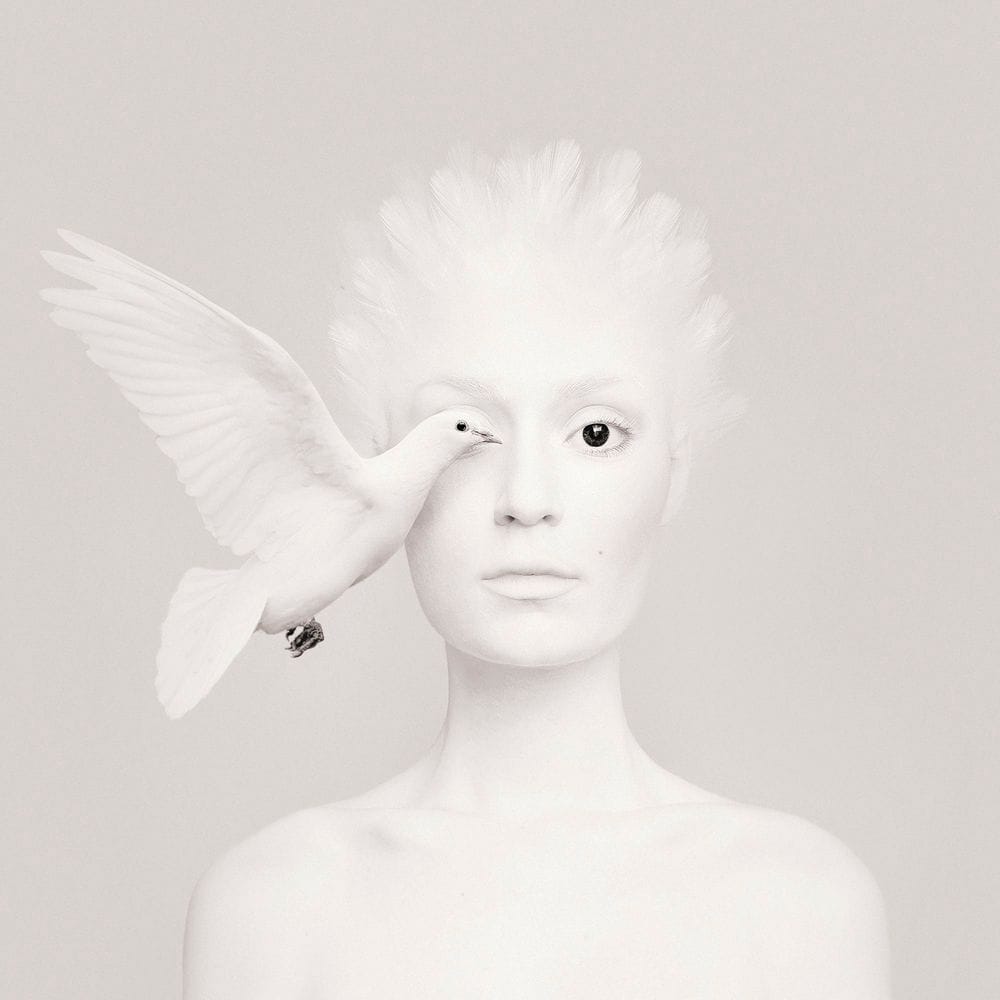 Artwork Title: Animeyed - Dove