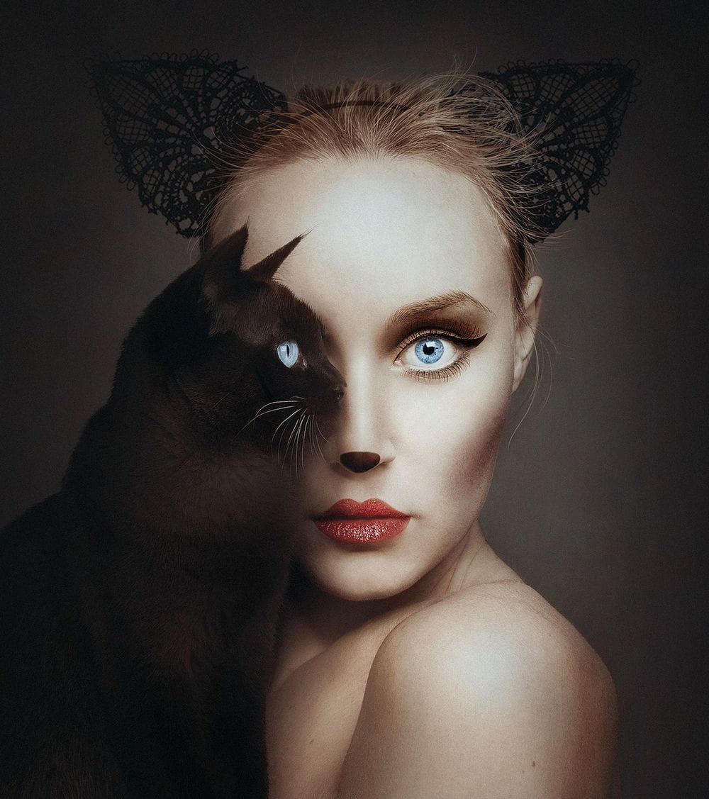 Artwork Title: Animeyed - Kitty