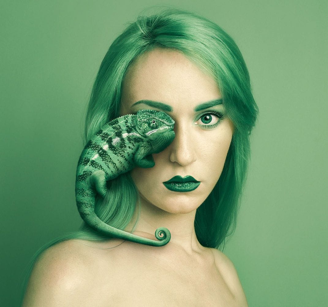 Artwork Title: Animeyed - Chameleon