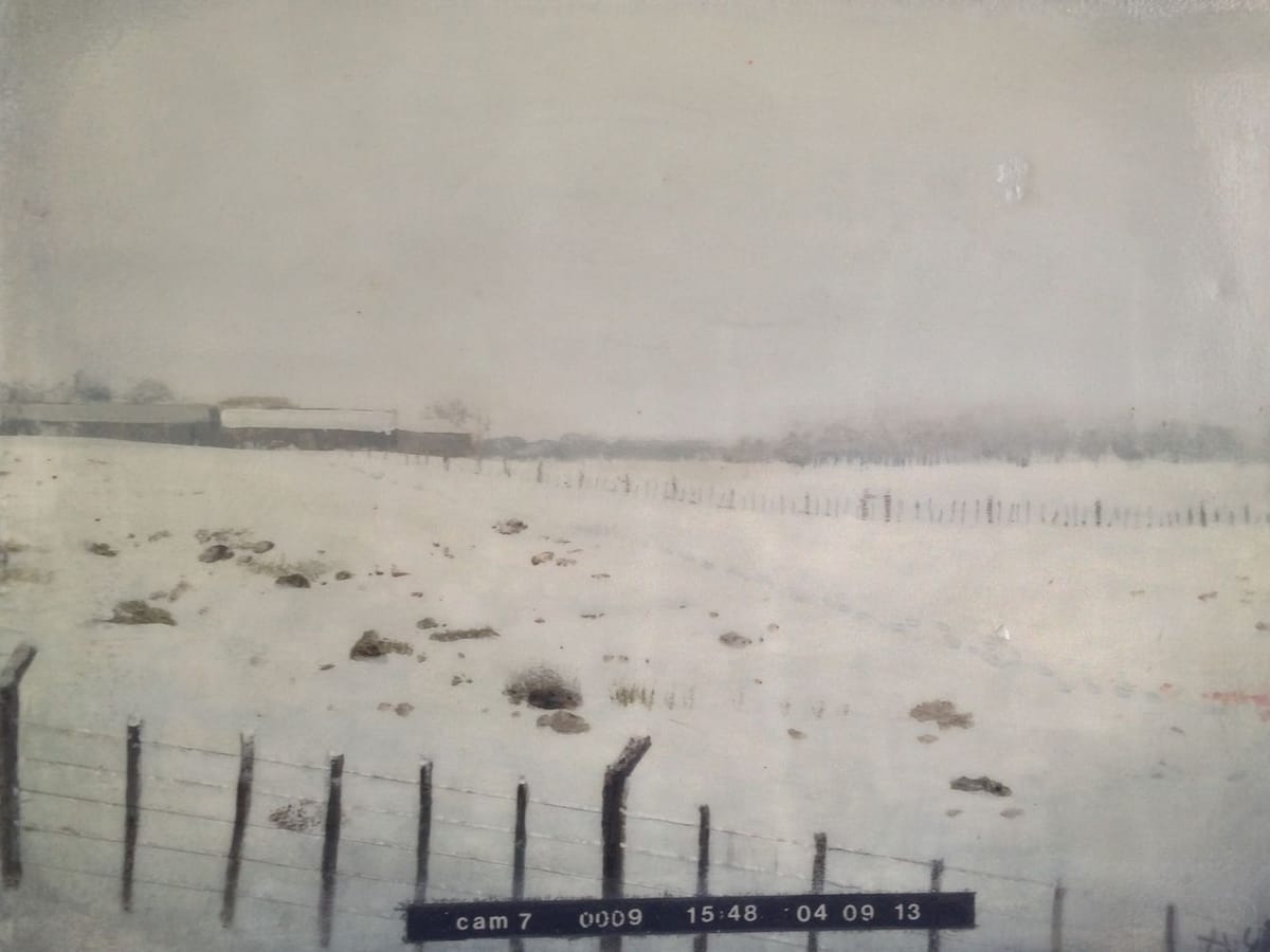 Artwork Title: Snowden's Landscape Ii 2