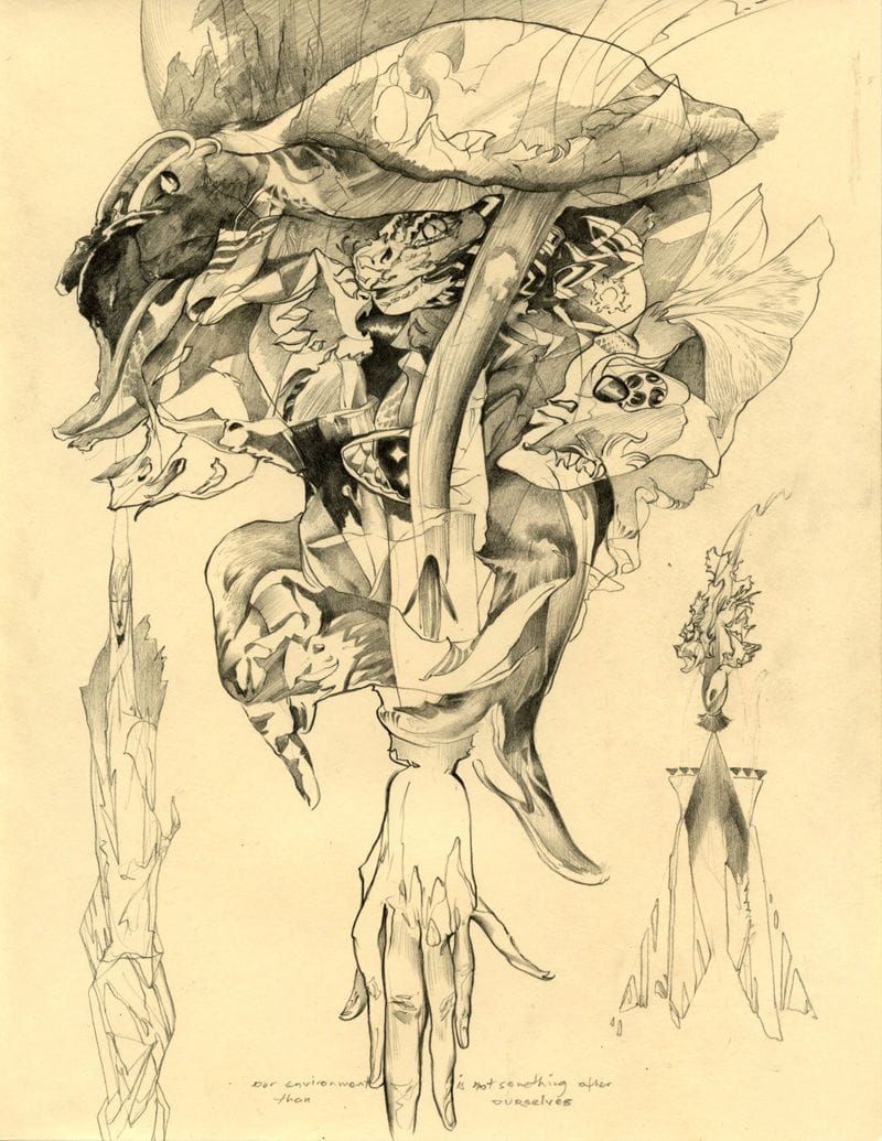 Artwork Title: Sketch