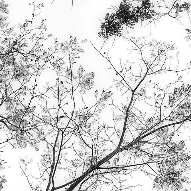 Artwork Title: undefined