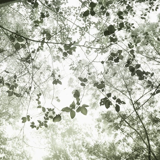 Artwork Title: undefined