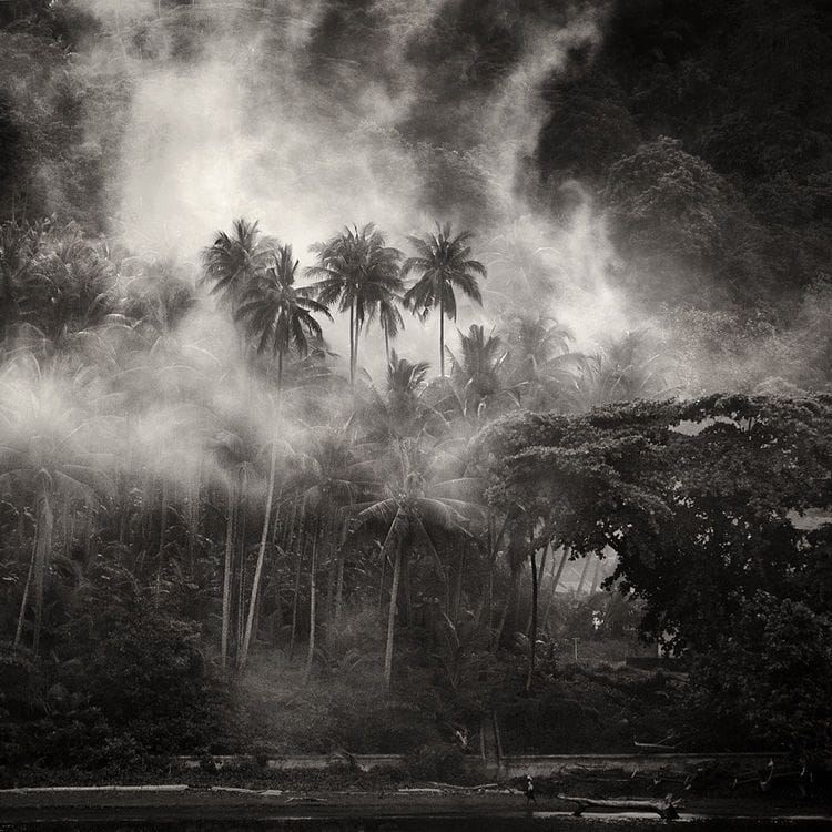 Artwork Title: Apocalypse Now