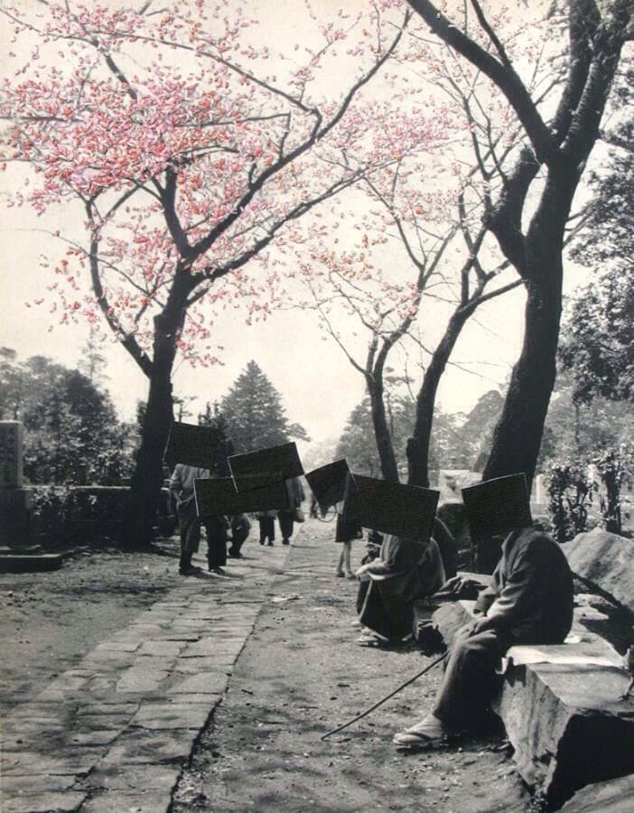 Artwork Title: Blossoms in a Graveyard