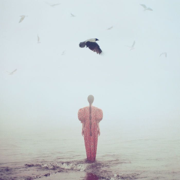 Artwork Title: undefined