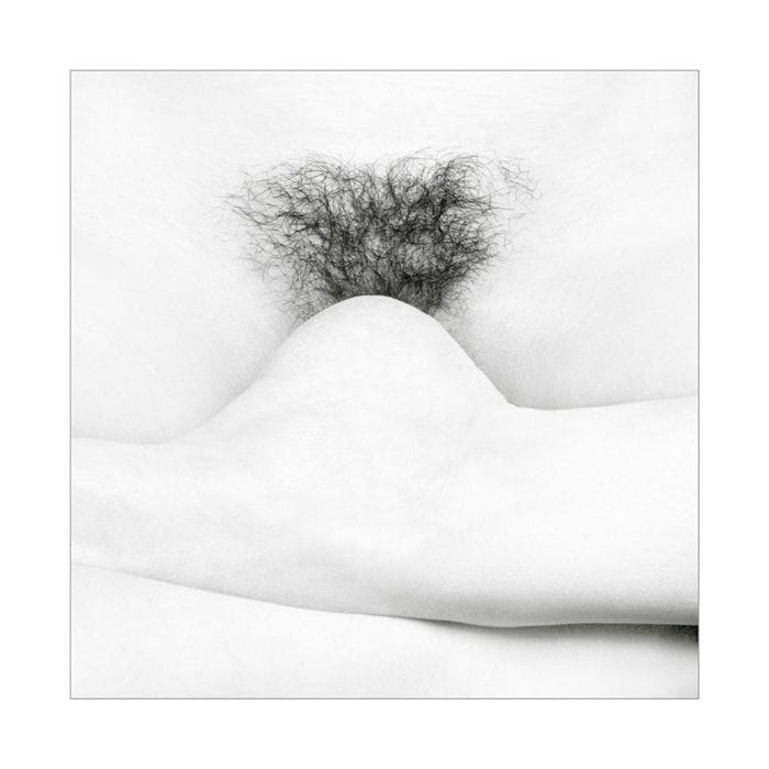 Artwork Title: undefined