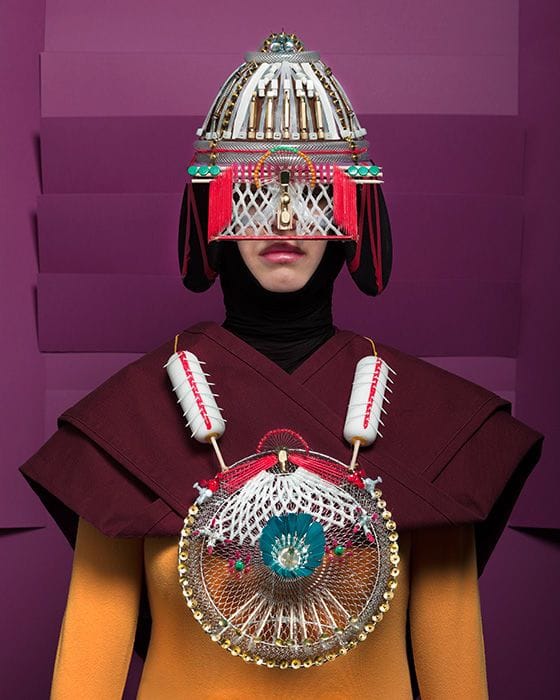 Artwork Title: Armures