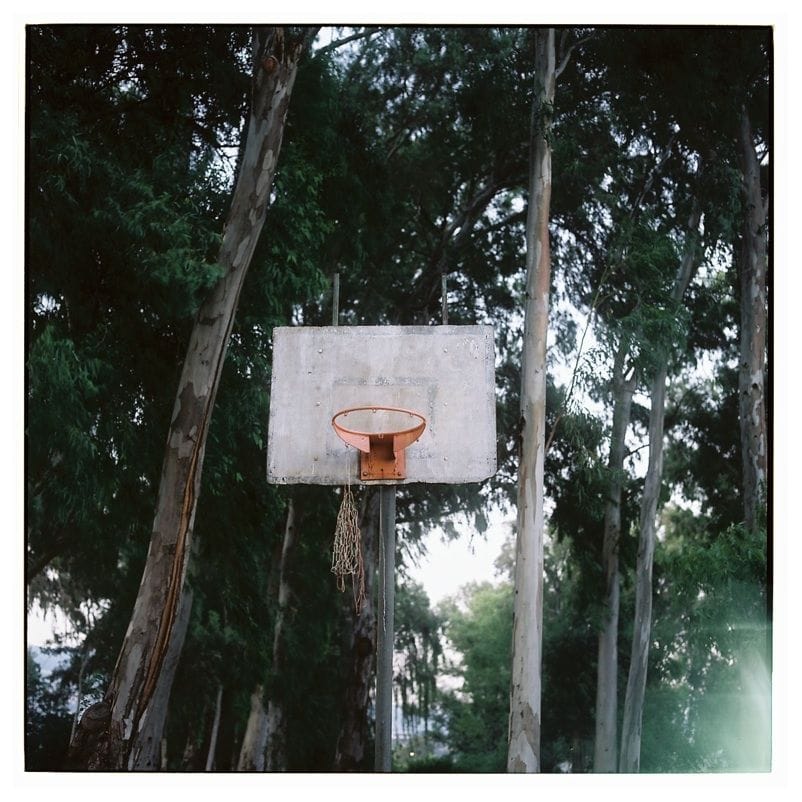 Artwork Title: Torn Net