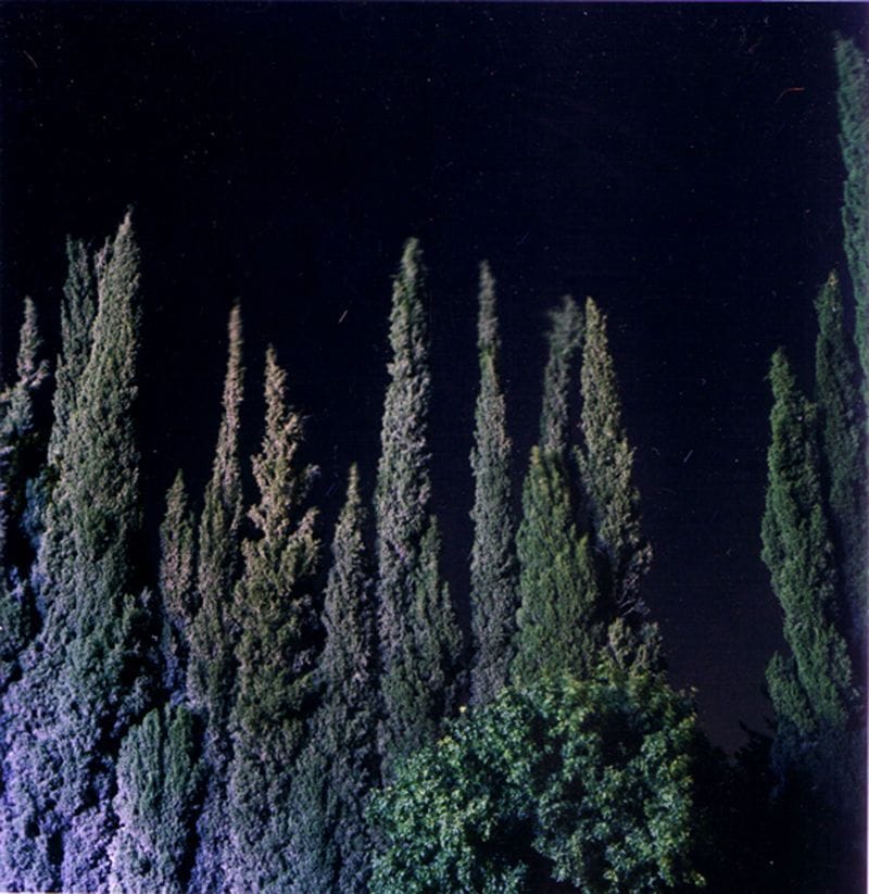 Artwork Title: Cypresses at Night, Kfar Giladi