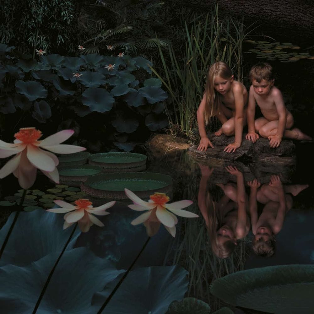 Artwork Title: Secret Garden #01