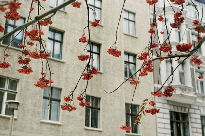 Artwork Title: Berlin Mitte