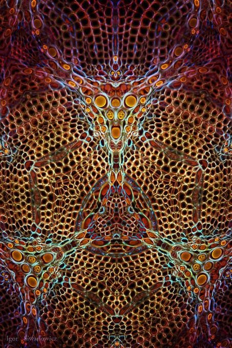 Artwork Title: undefined