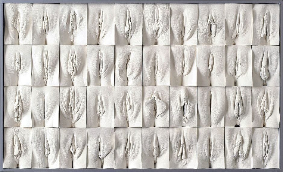 Artwork Title: Great Wall of Vagina