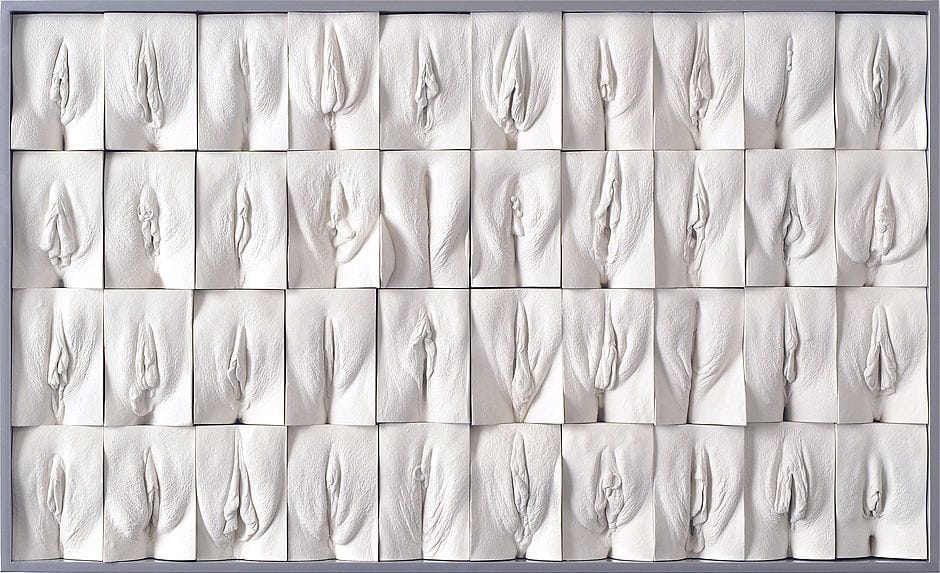 Artwork Title: Great Wall of Vagina