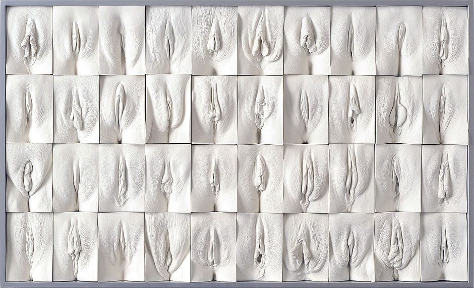 Artwork Title: Great Wall of Vagina