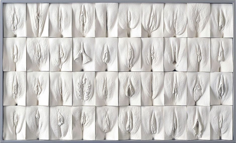 Artwork Title: Great Wall of Vagina