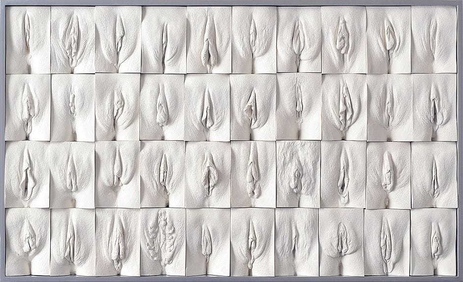 Artwork Title: Great Wall of Vagina