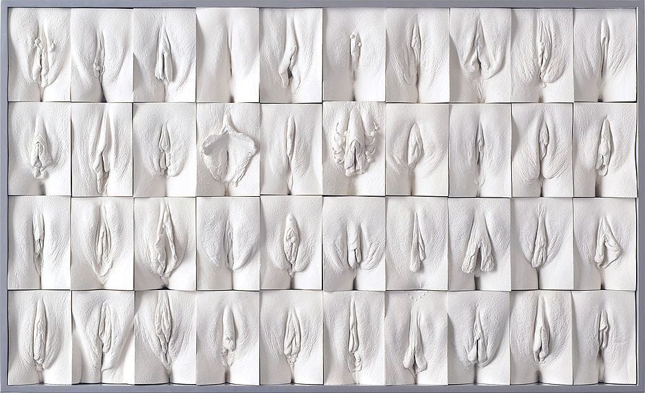 Artwork Title: Great Wall of Vagina