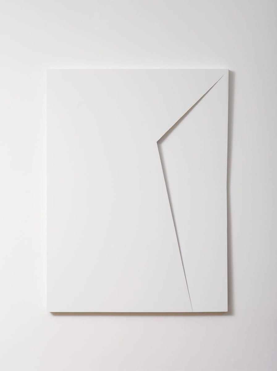 Artwork Title: Shape 01