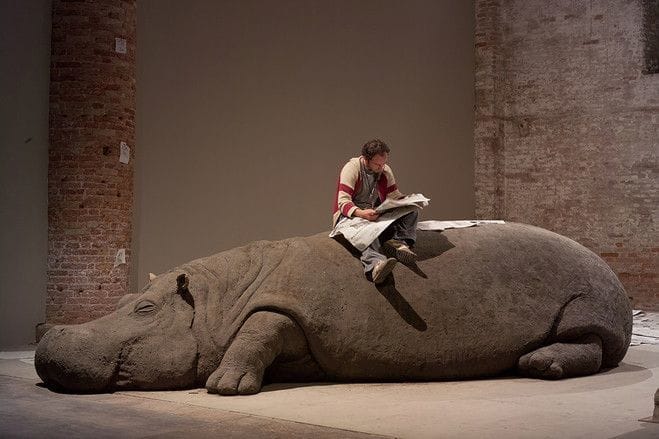 Artwork Title: Hope Hippo