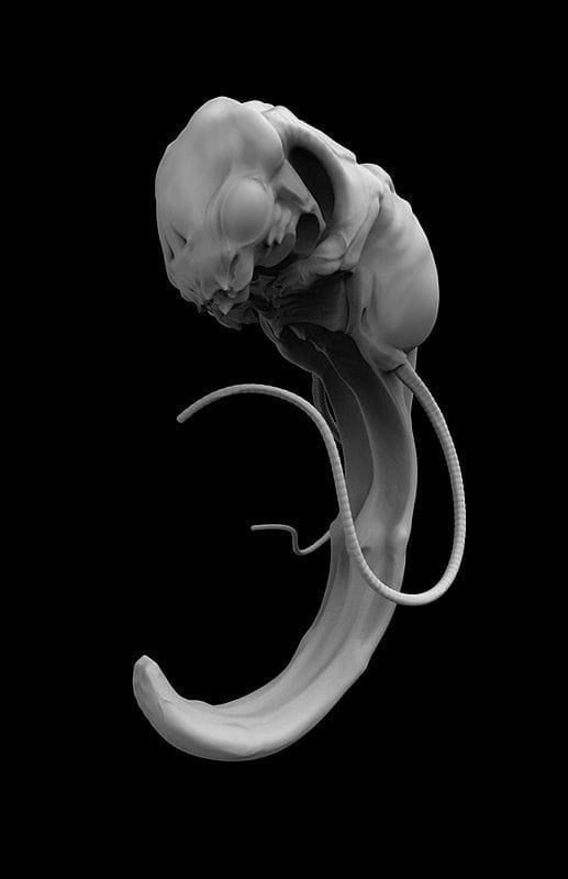 Artwork Title: Embryo 3