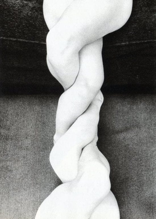 Artwork Title: Double Legs