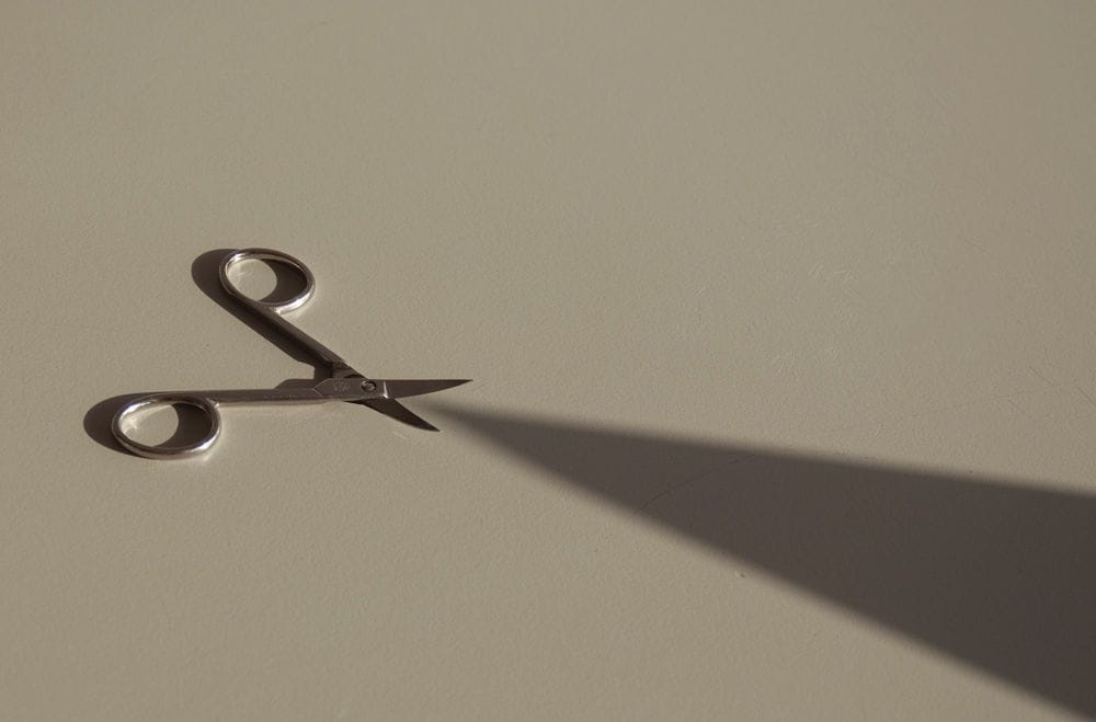 Artwork Title: Scissor