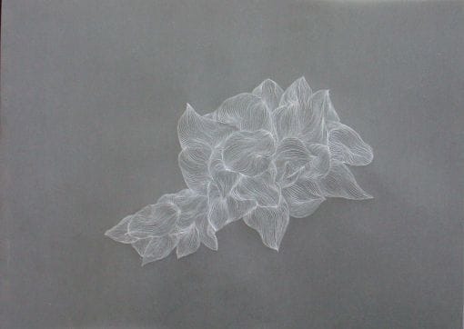 Artwork Title: Amanitas
