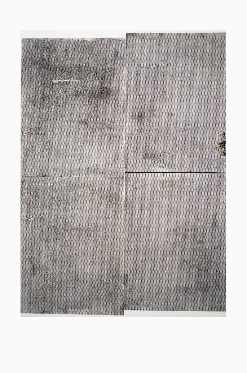 Artwork Title: Sterilized Dirt A2