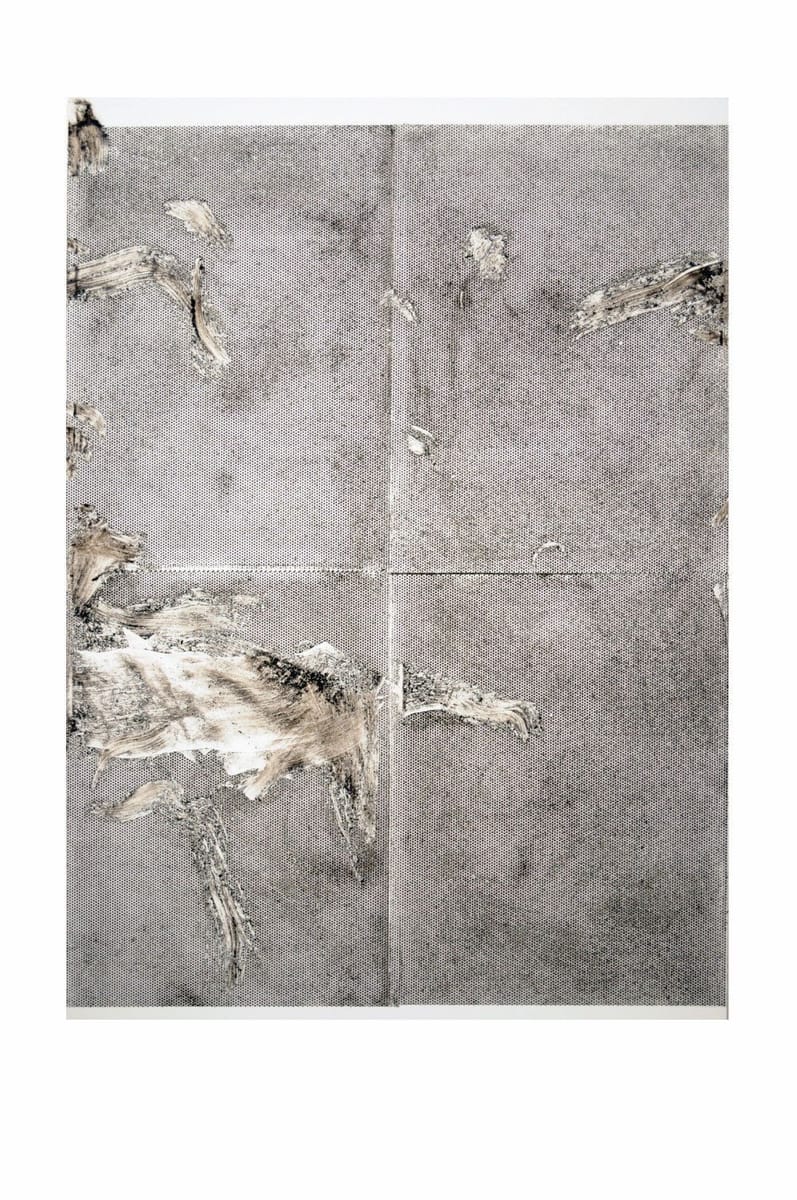 Artwork Title: Sterlized Dirt A1