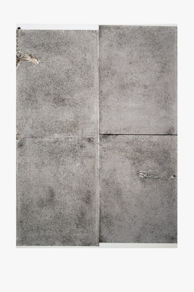 Artwork Title: Sterilized Dirt A4