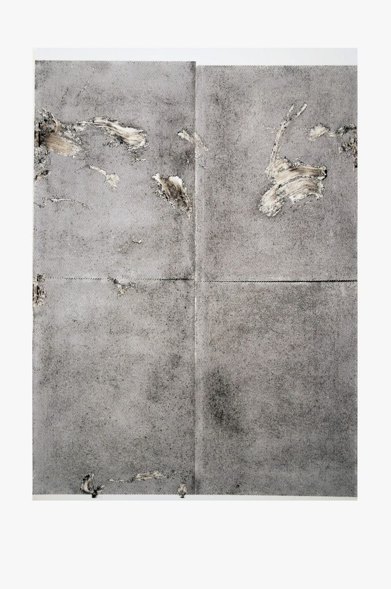 Artwork Title: Sterilized Dirt A3