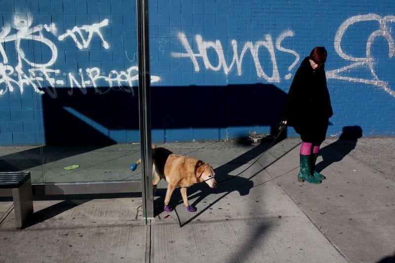 Artwork Title: Untitled, New York, December 7