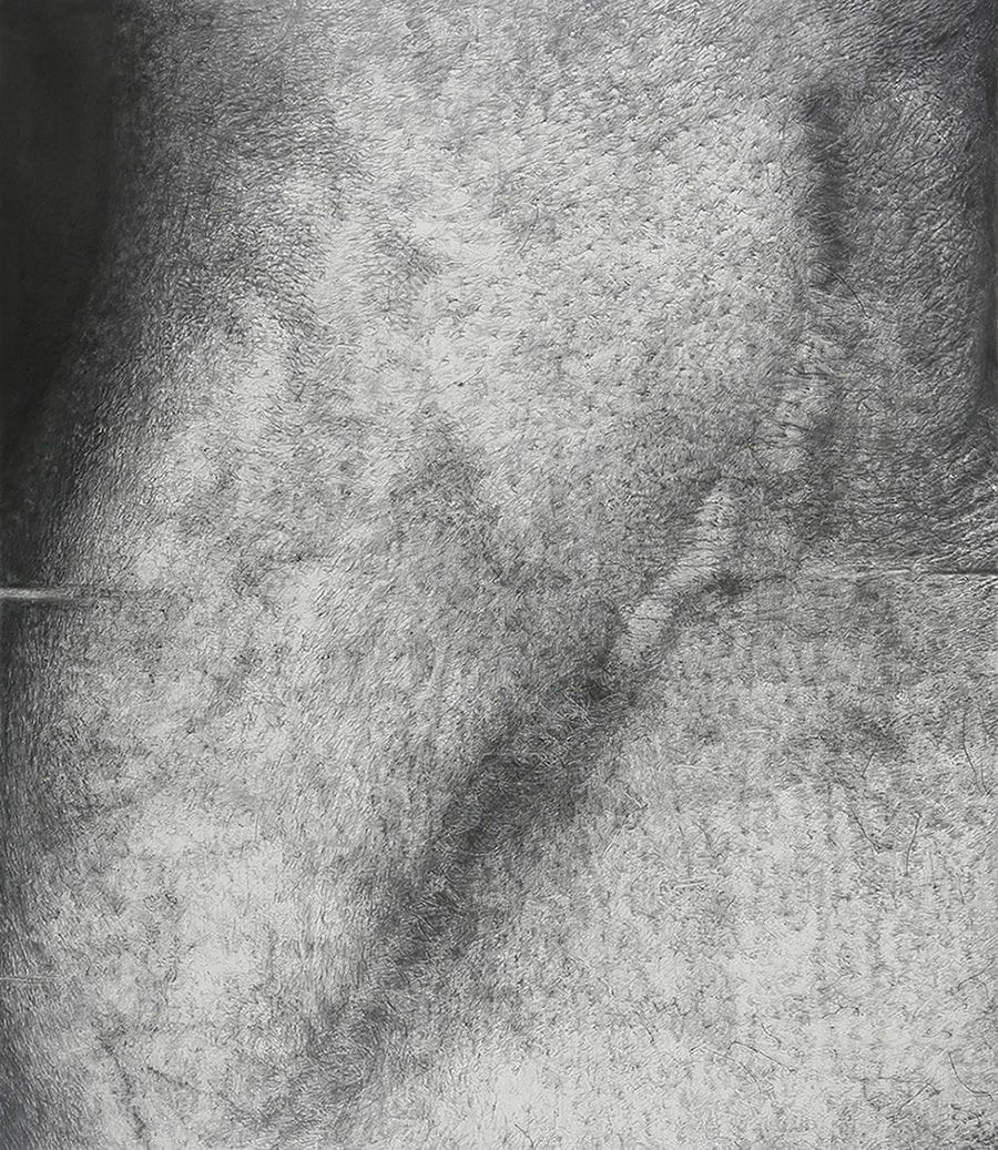 Artwork Title: Cr615N ArmScar