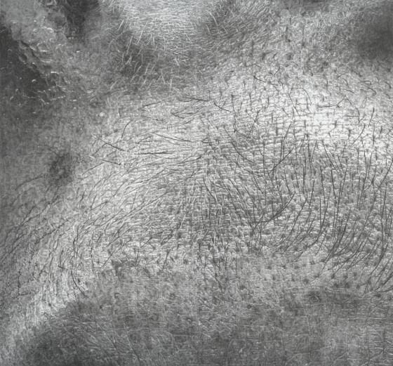 Artwork Title: Crop3Dsnosemouth