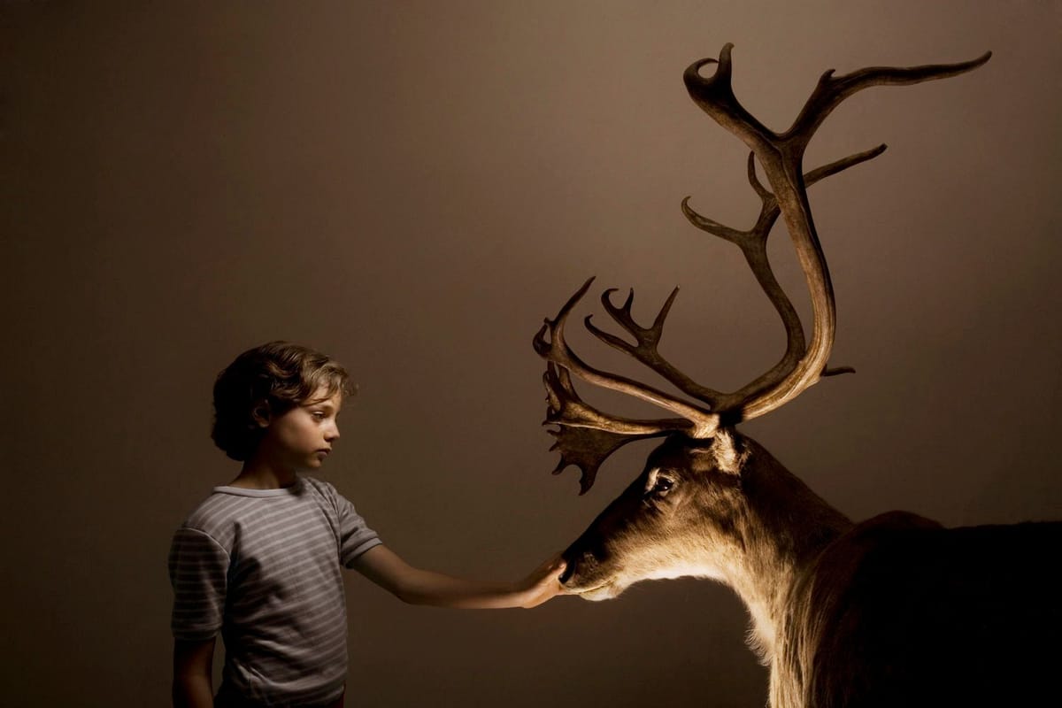 Artwork Title: Reindeer