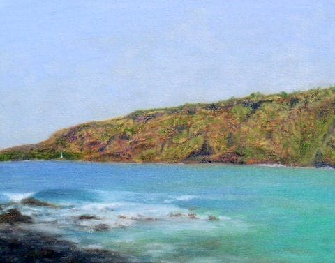Artwork Title: Manini Beach View