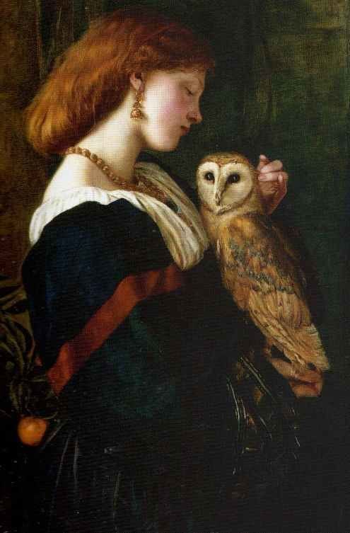 Artwork Title: The Owl