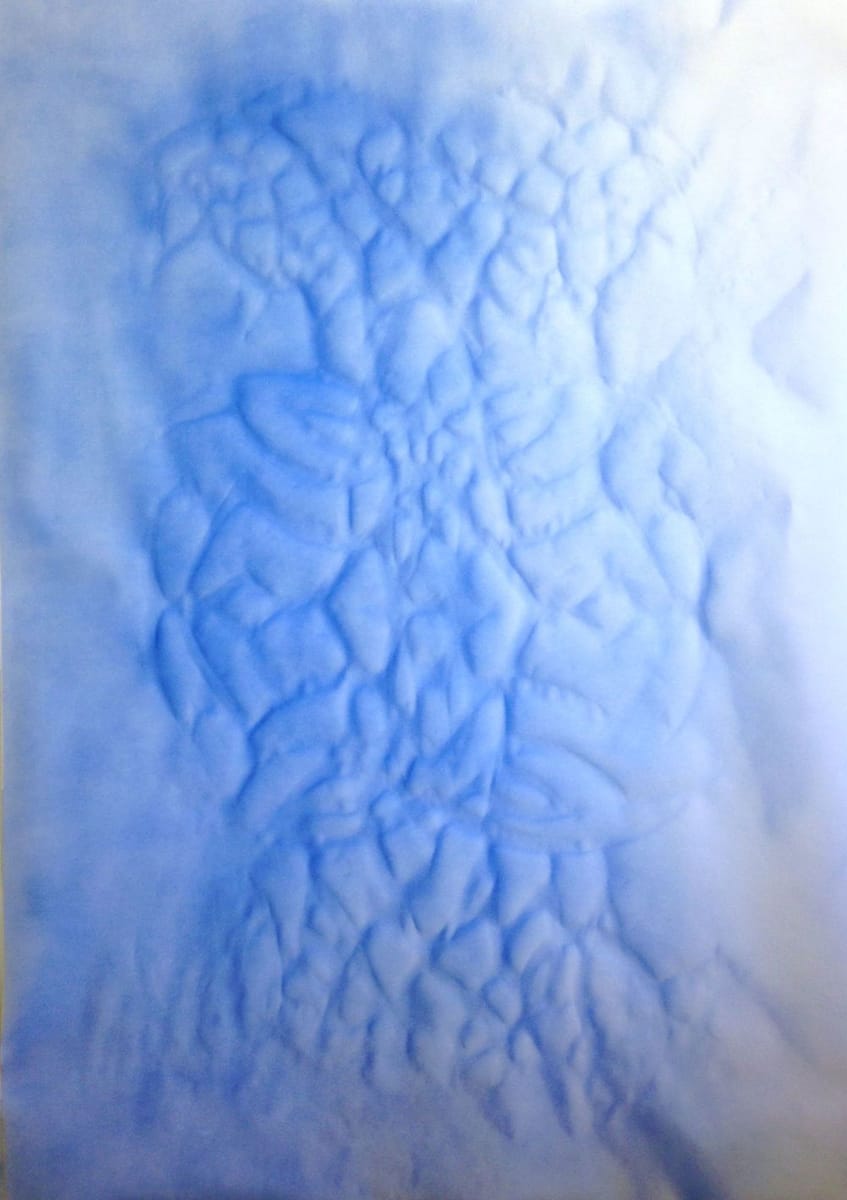 Artwork Title: Resilient and Antifragile