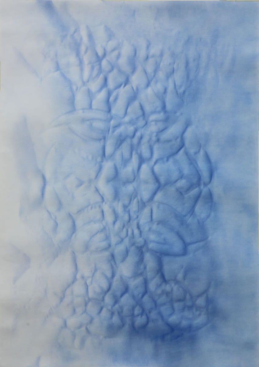 Artwork Title: Resilient and Antifragile