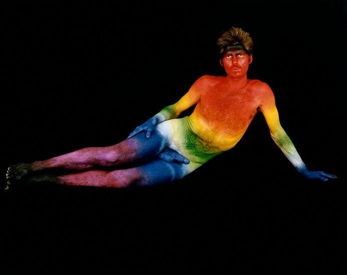 Artwork Title: Sympathetic Flesh, (David), Los Angeles, California