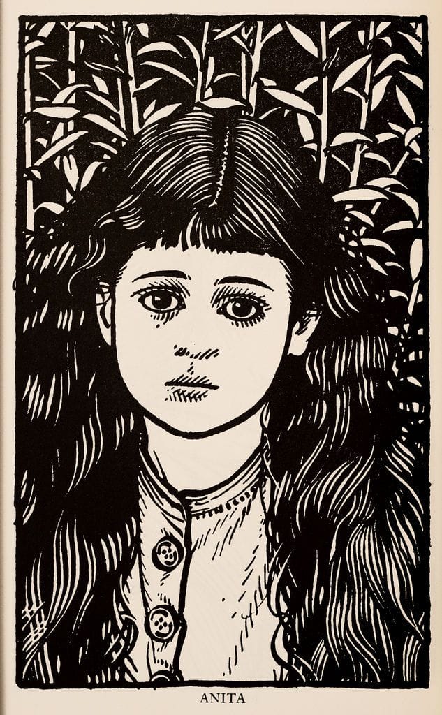 Artwork Title: Anita (Illustration for The Purple Land)