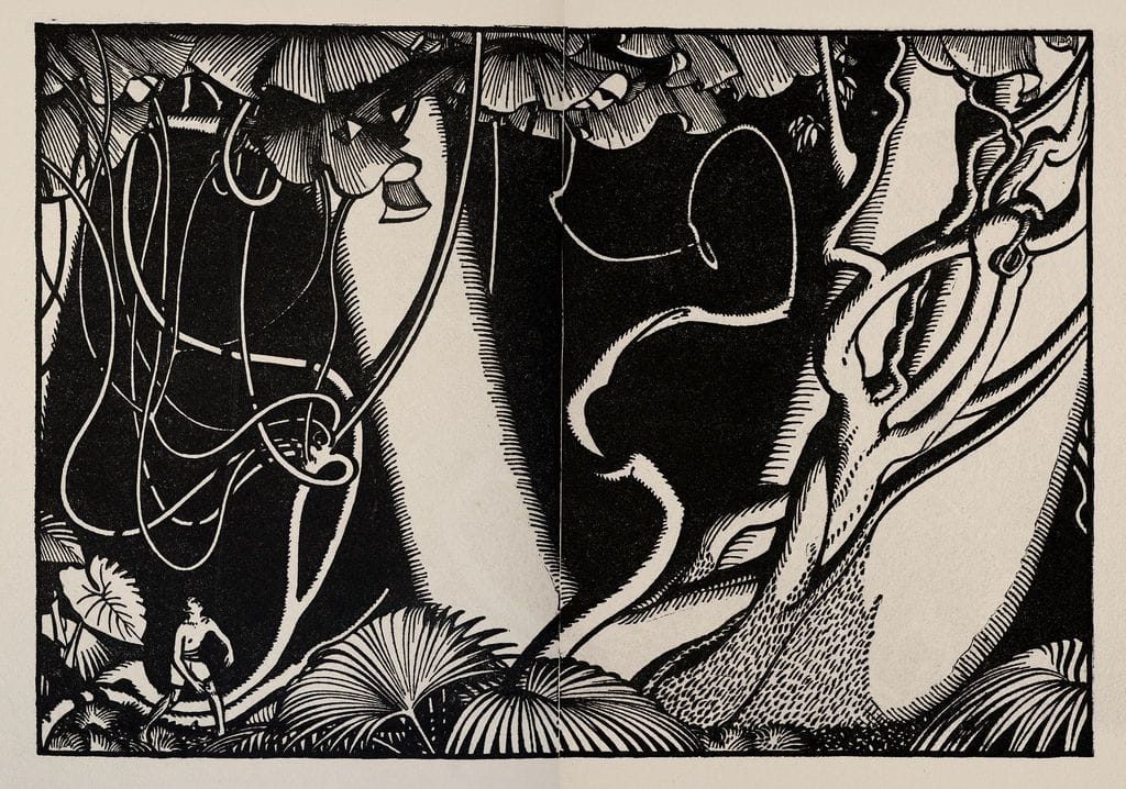 Artwork Title: Illustration for Green Mansions