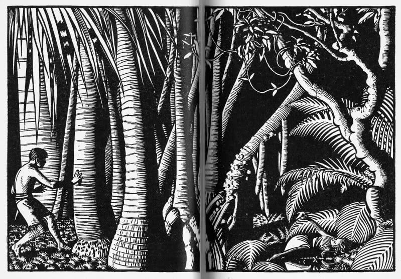 Artwork Title: Illustration for Green Mansions